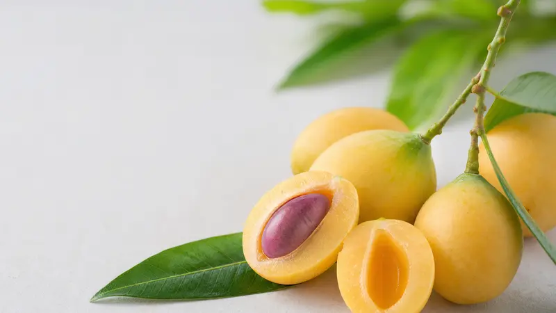 Petualangan Terbaru dalam Dunia Slot dengan Aviatrix Fruits